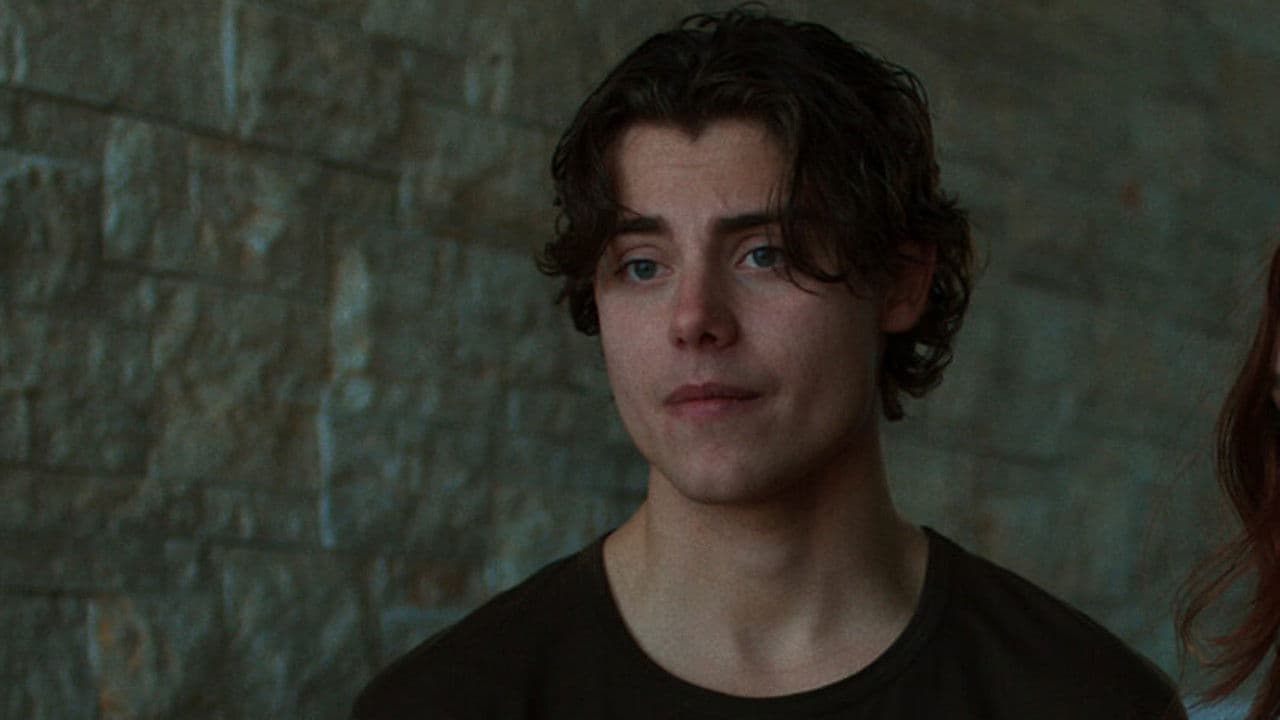 Where Did the Adults Go?の背景画像