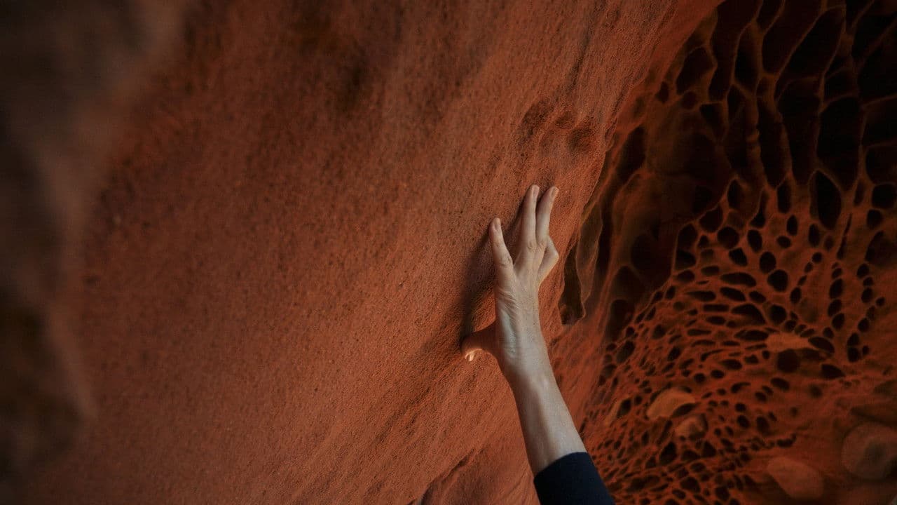 Hondalea: abismo marinoの背景画像