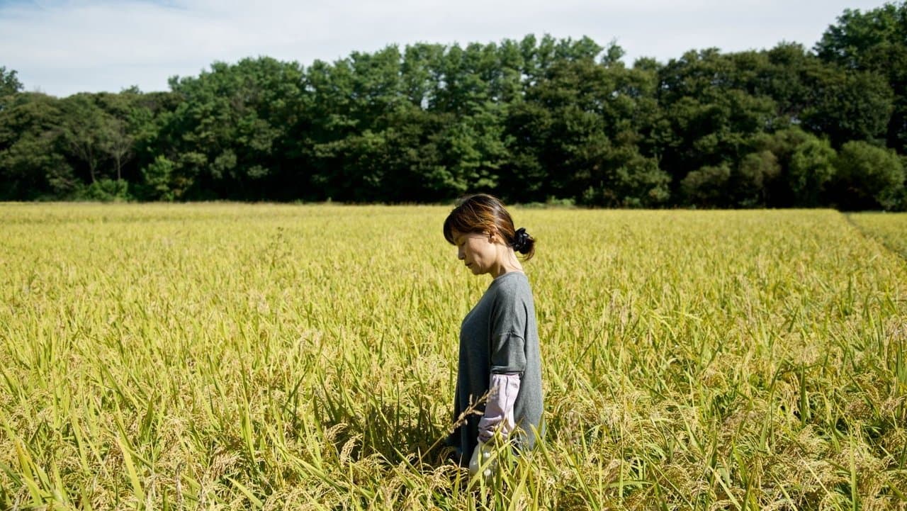 인 허 플레이스の背景画像