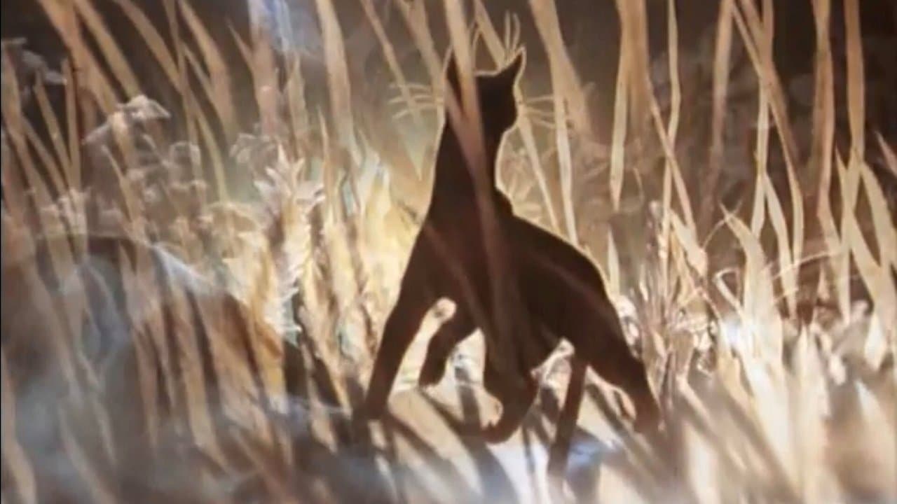 Кошка, которая гуляла сама по себеの背景画像