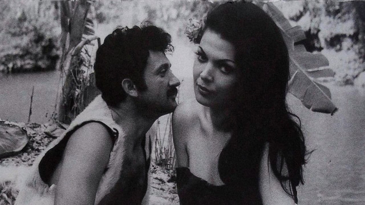 Bin Yıllık Yolの背景画像