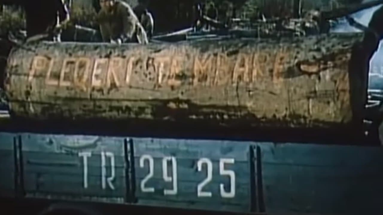 Zemra qe nuk plakenの背景画像