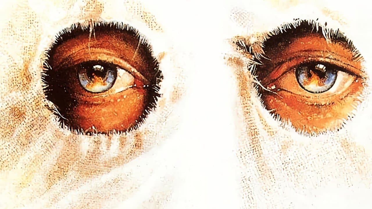 ミシシッピー・バーニングの背景画像