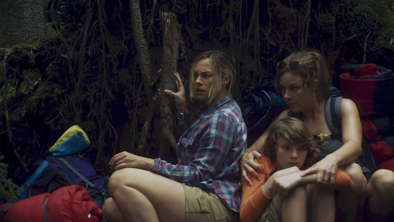 Desolationの背景画像