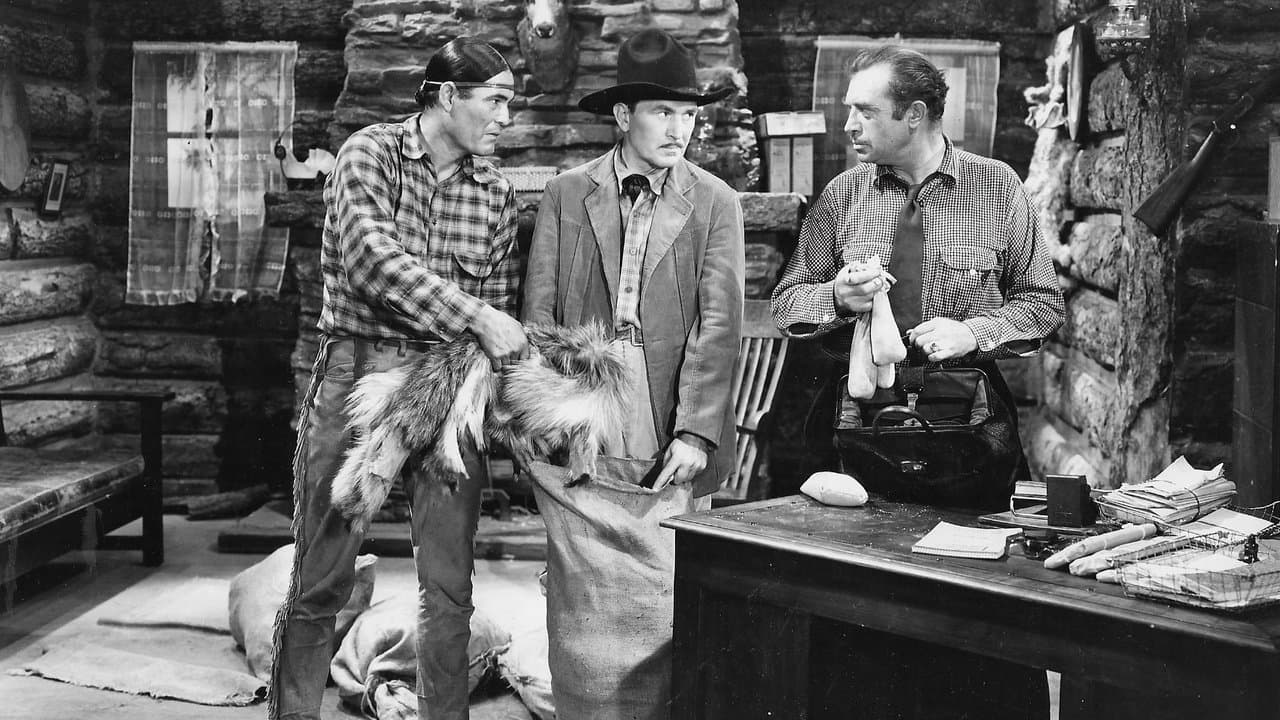 Murder on the Yukonの背景画像