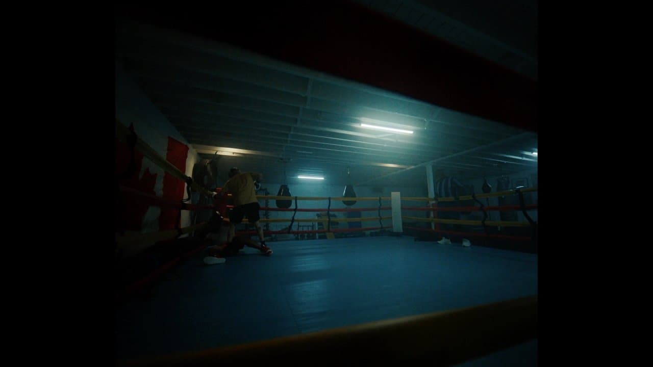 Shadow Boxの背景画像