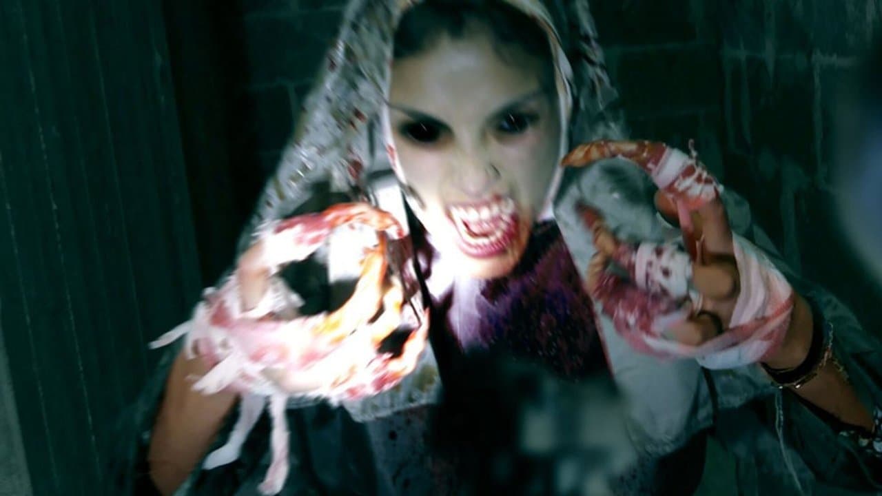 Suite 313の背景画像