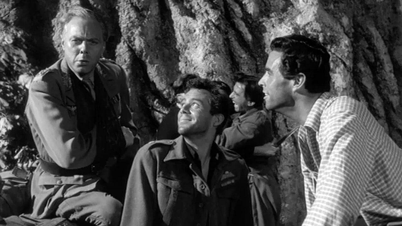 Ill Met by Moonlightの背景画像