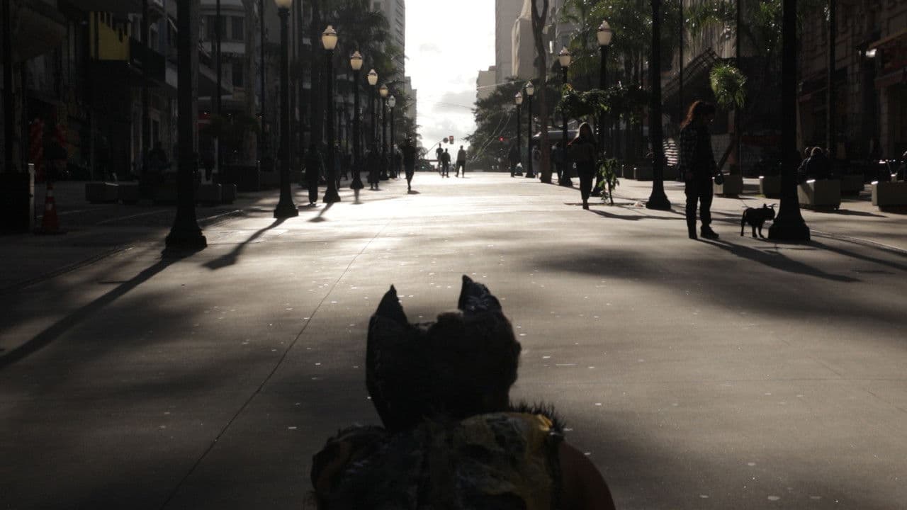 Dia de Cãosの背景画像