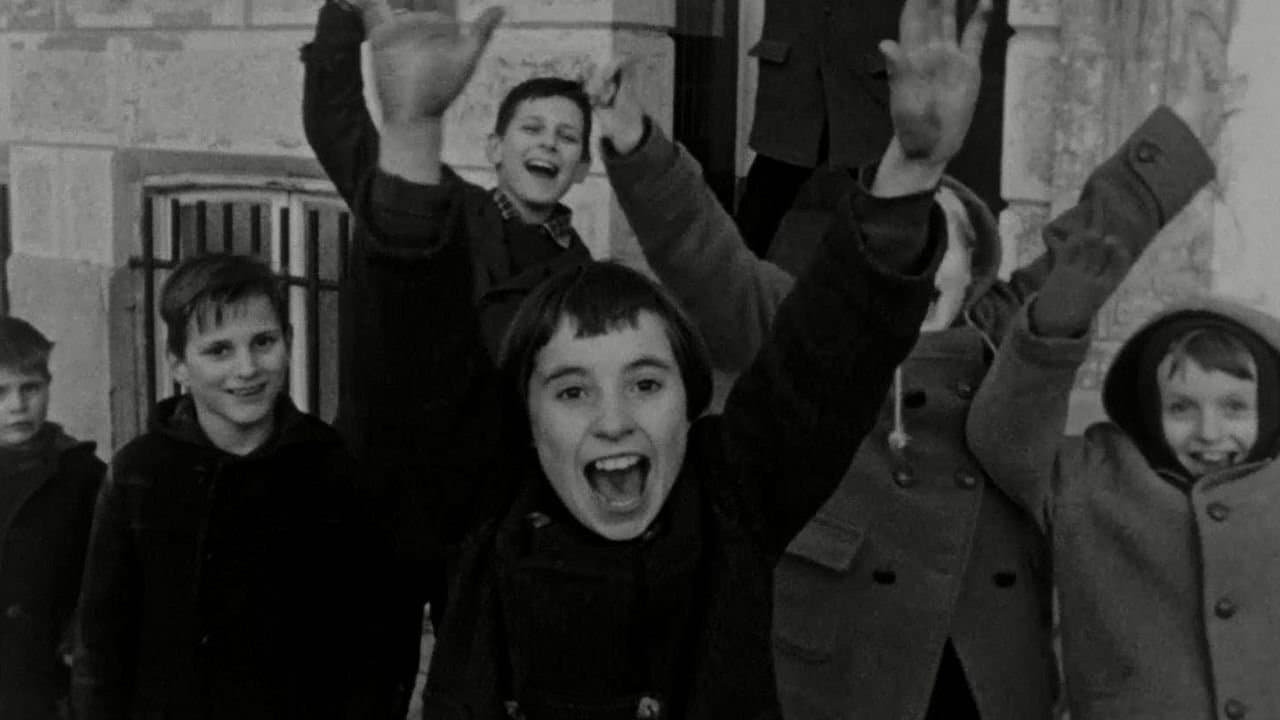 Beppieの背景画像