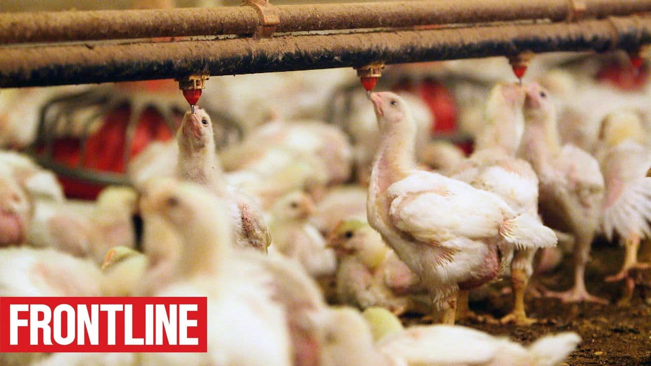 The Trouble with Antibioticsの背景画像