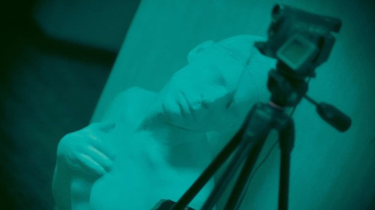 میتوزの背景画像