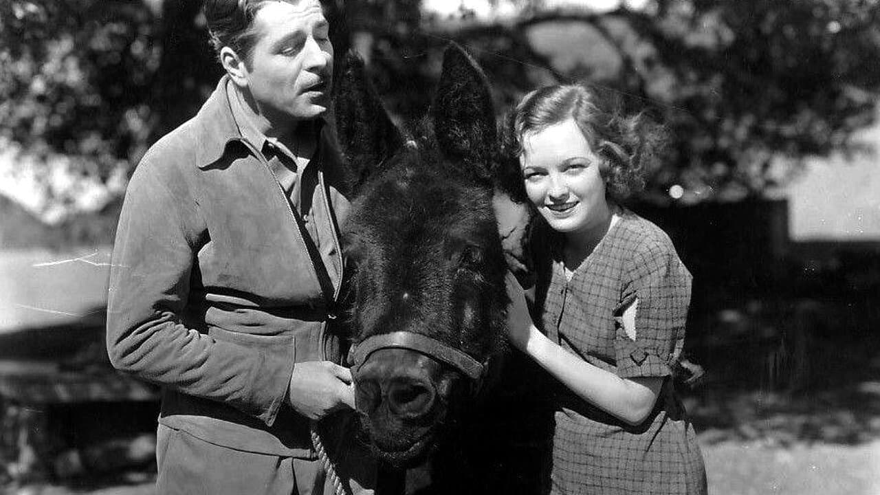 Amateur Daddyの背景画像