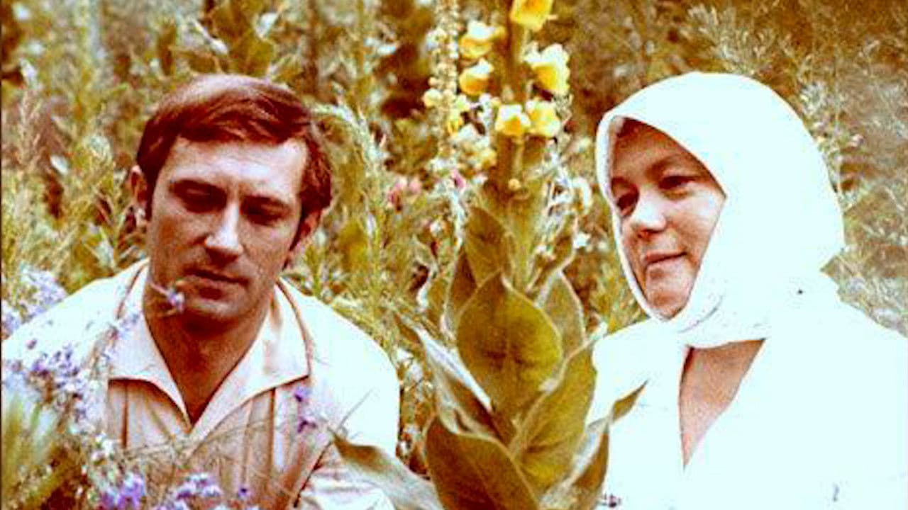 Серед літаの背景画像