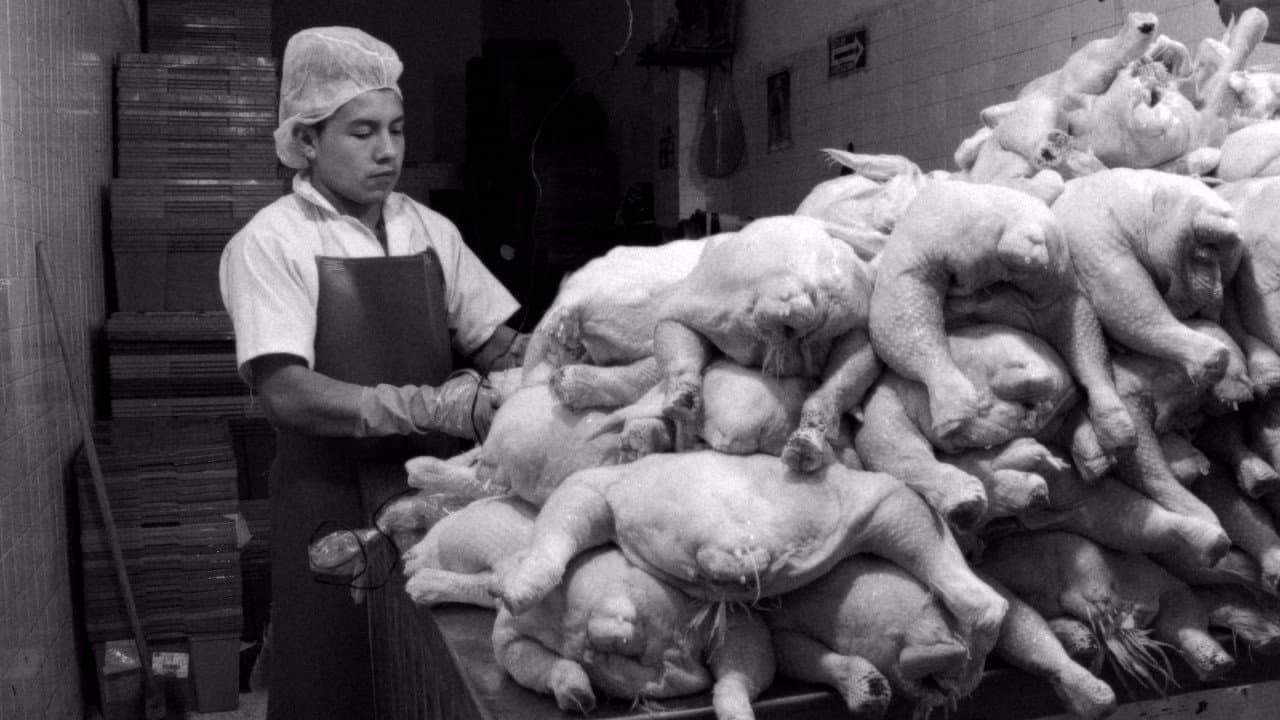 Calle Lópezの背景画像