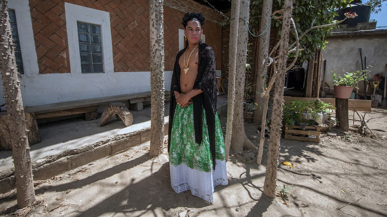 La Utopía de la Mariposaの背景画像