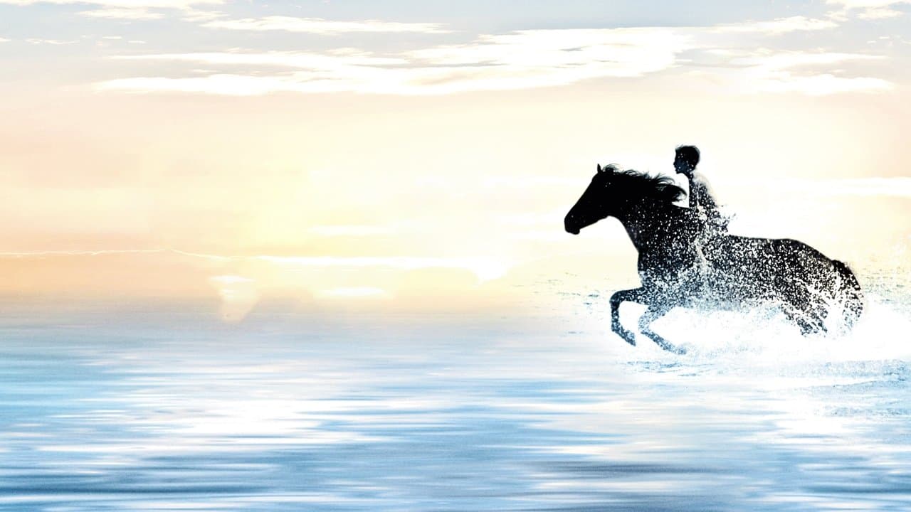 The Black Stallionの背景画像