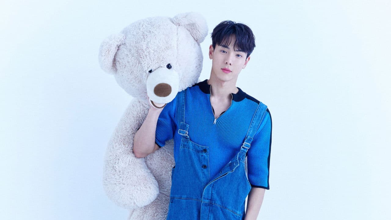 셔누에요の背景画像