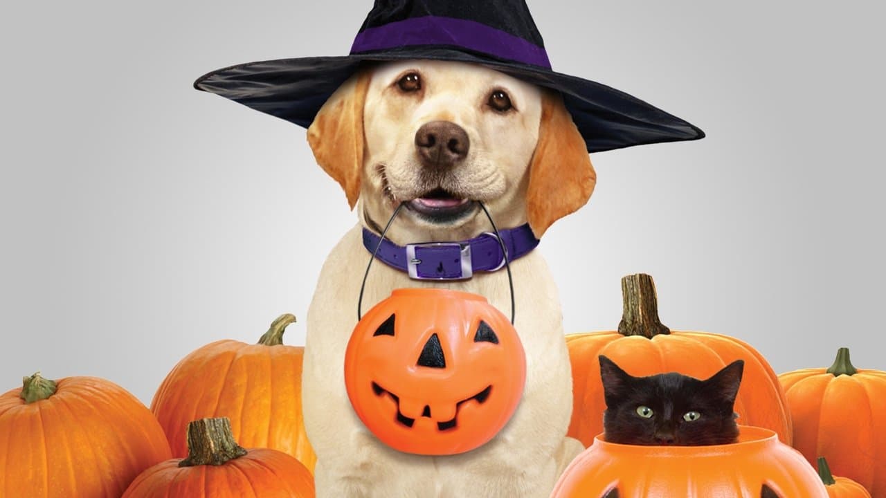 The Dog Who Saved Halloweenの背景画像