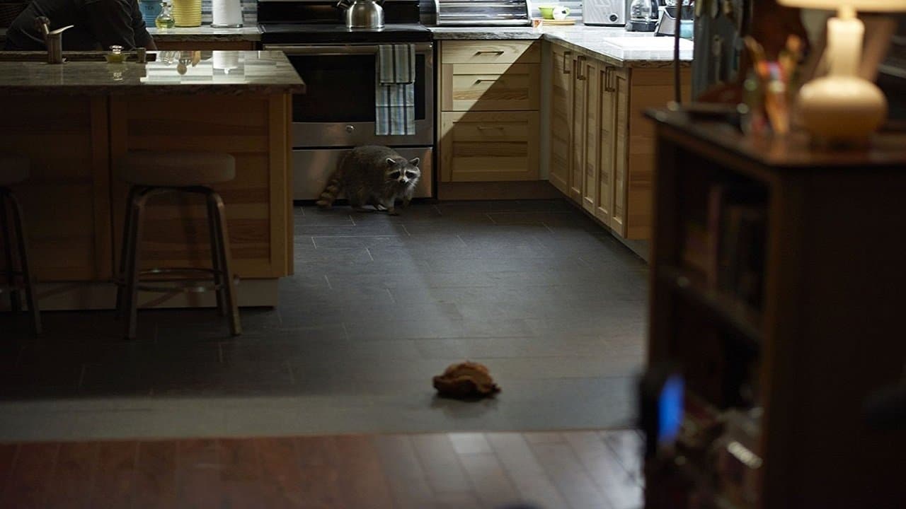 Crawfordの背景画像