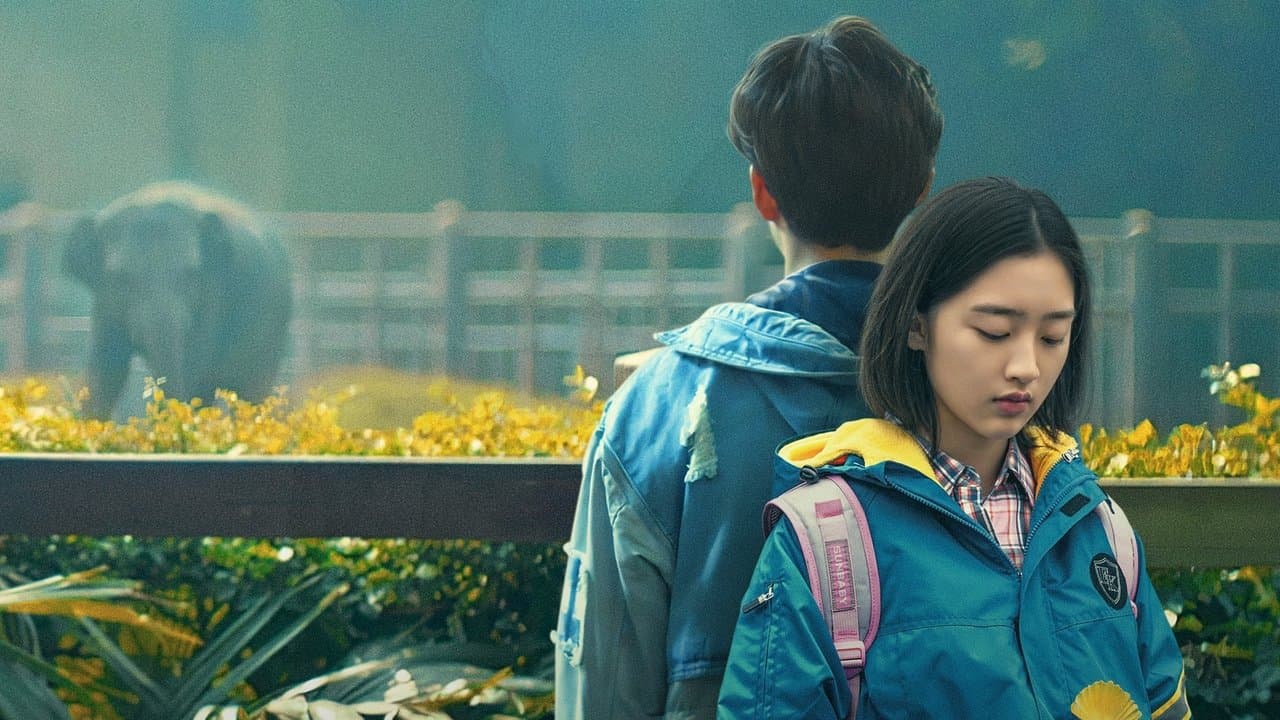 会考试的猛犸象の背景画像