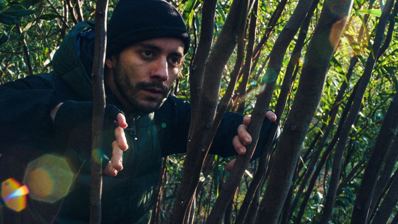 O Intrépido Exploradorの背景画像