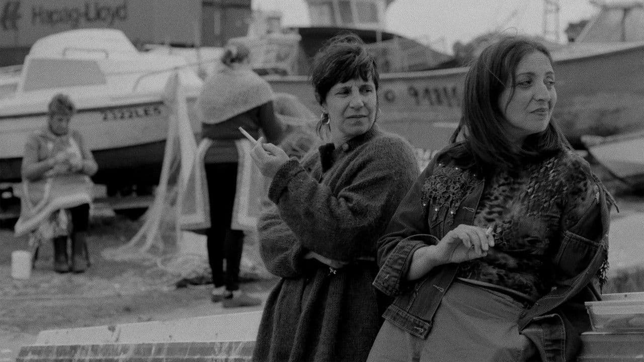 As Gaivotas Cortam o Céuの背景画像