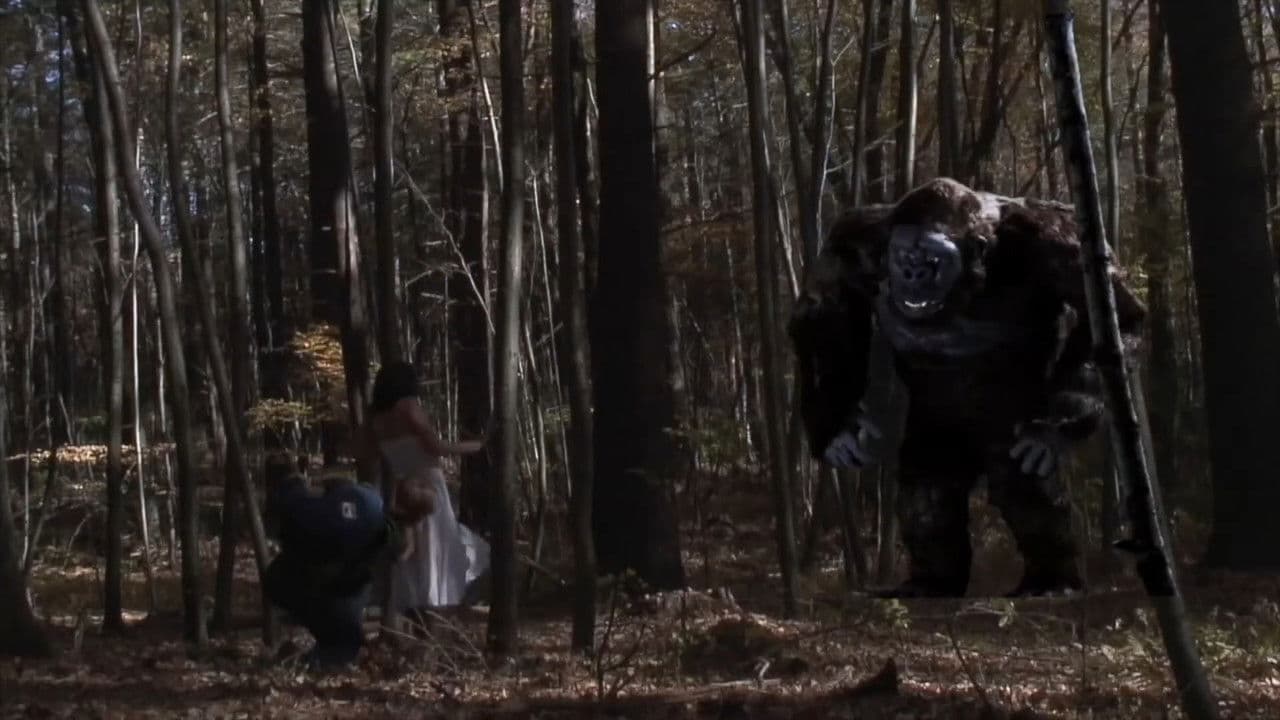 King Chongの背景画像