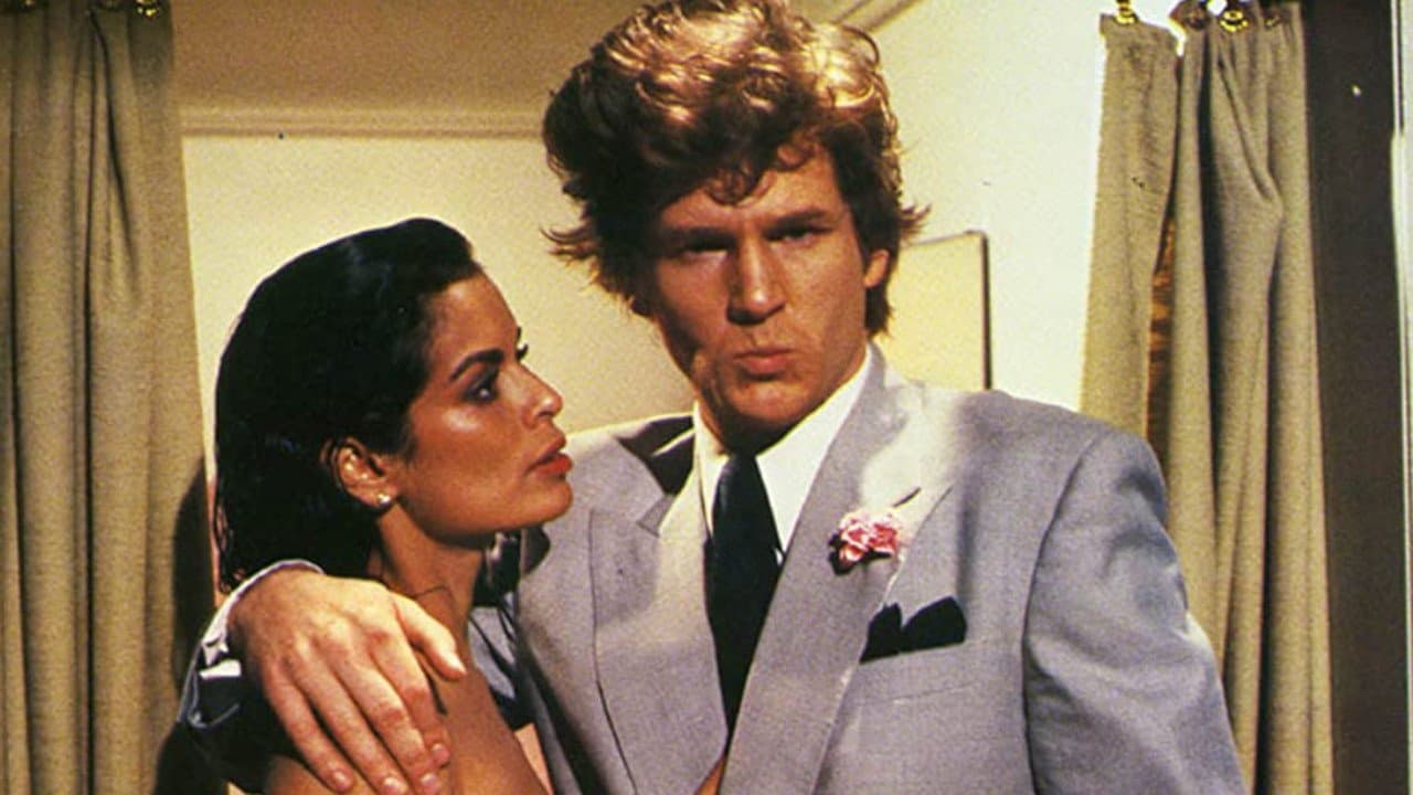 The American Success Companyの背景画像