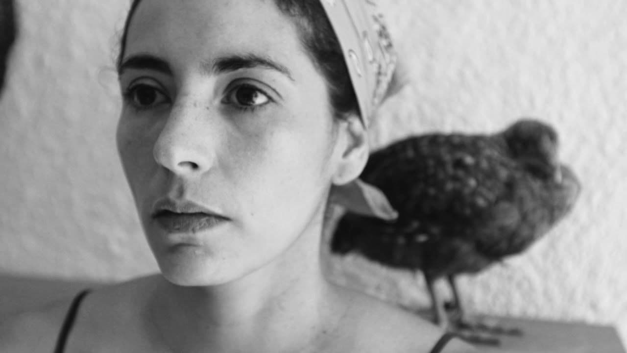 Polvo de galloの背景画像