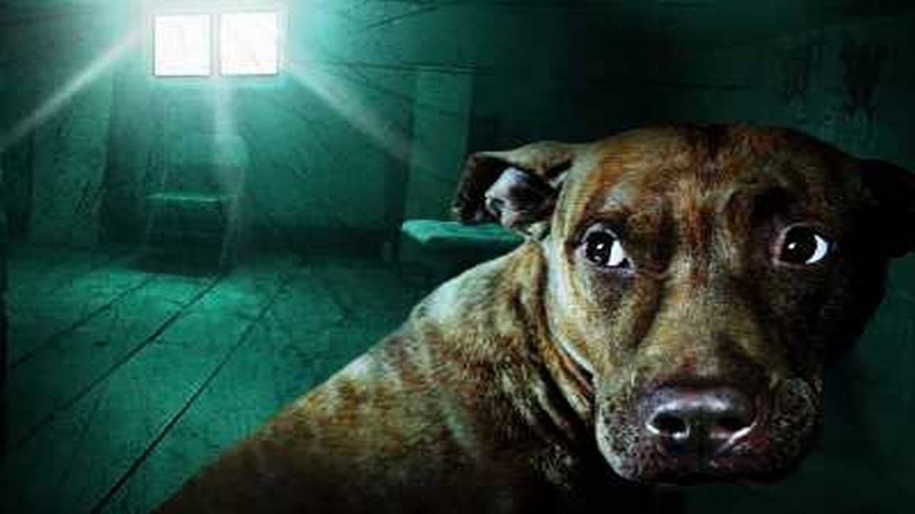 The Hauntedの背景画像