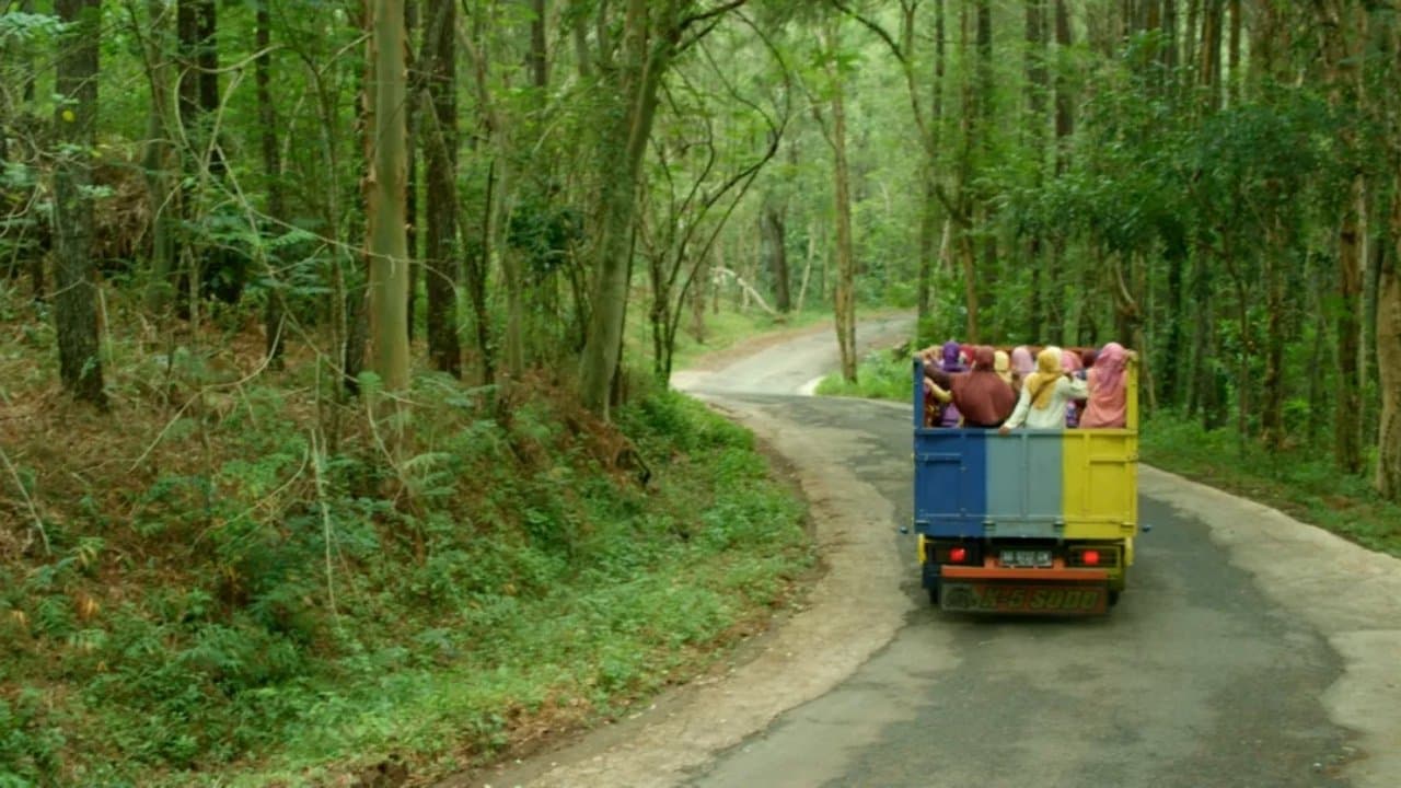 Tilikの背景画像