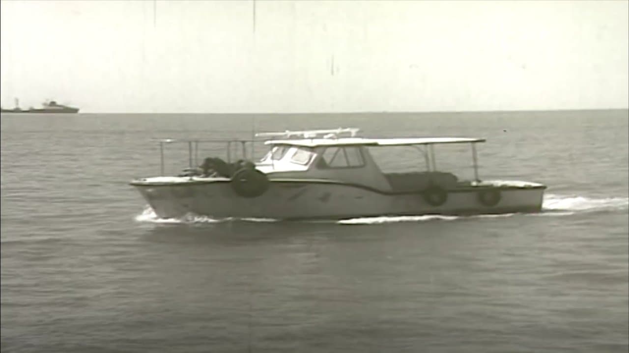 Ván bài lật ngửa 5: Trời xanh qua kẽ láの背景画像