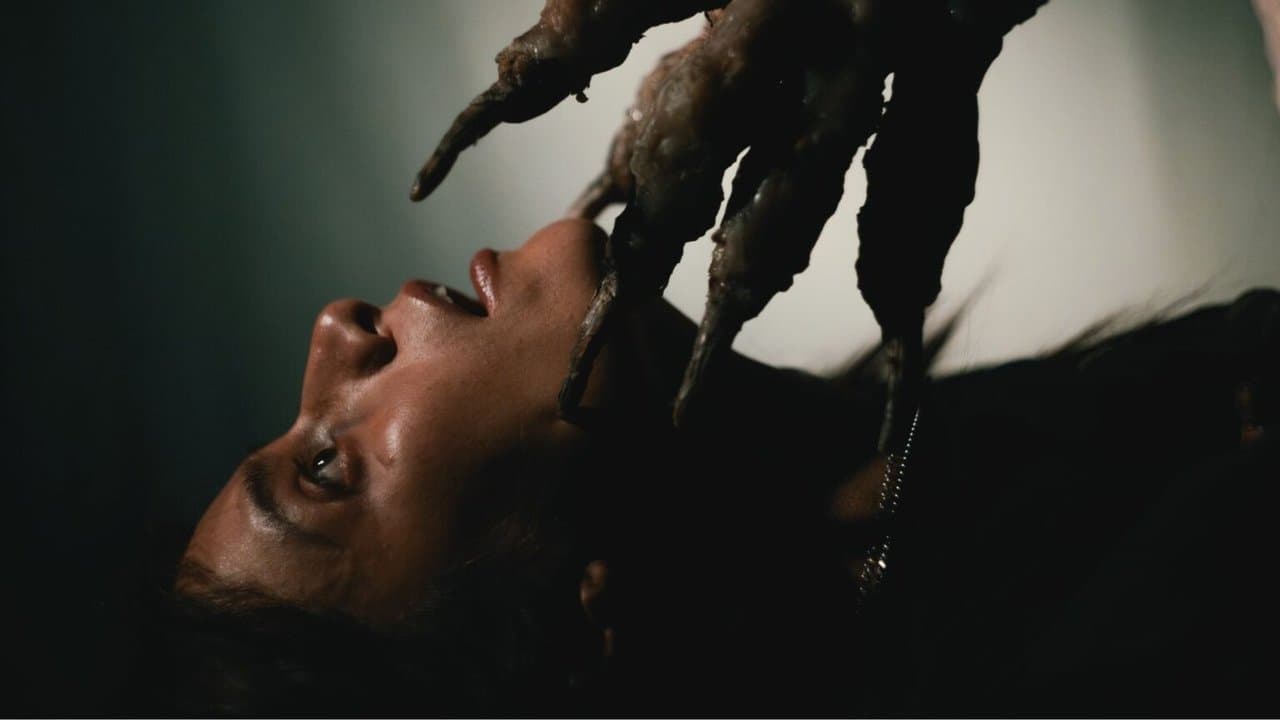 No Me Sigasの背景画像