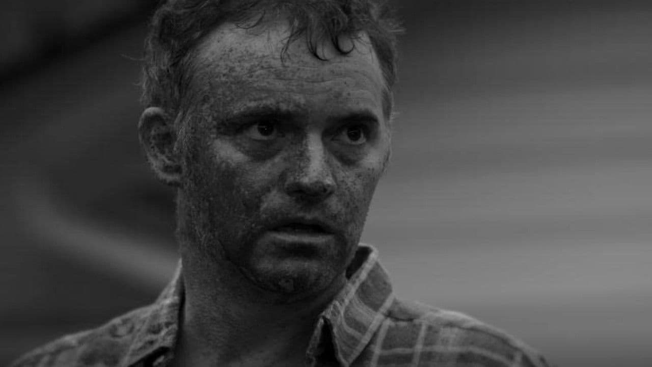 Rosesの背景画像