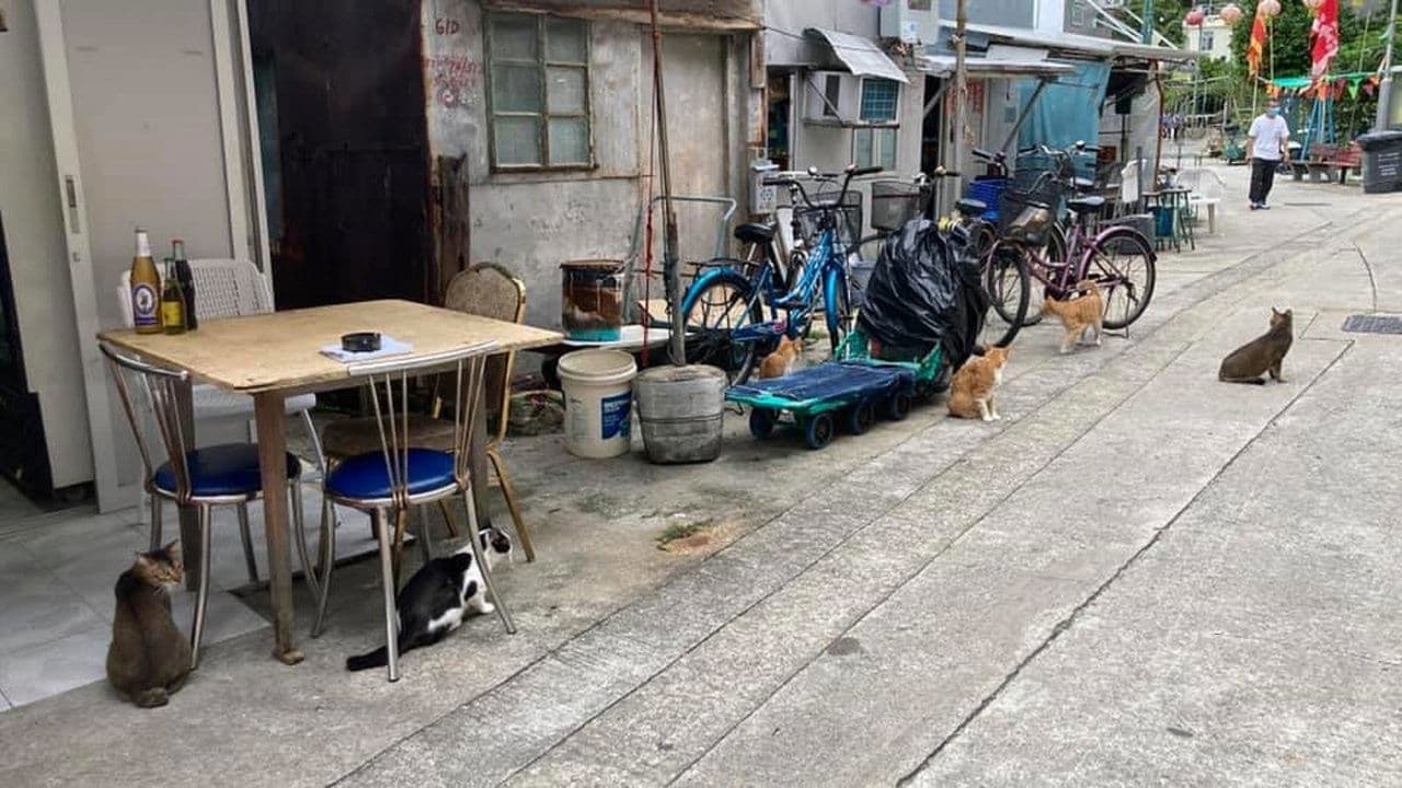 和你寫一封情書の背景画像