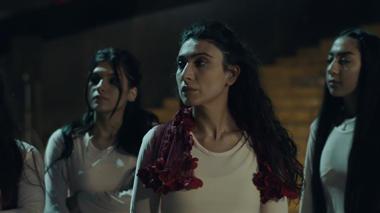 بوکا بارانێの背景画像