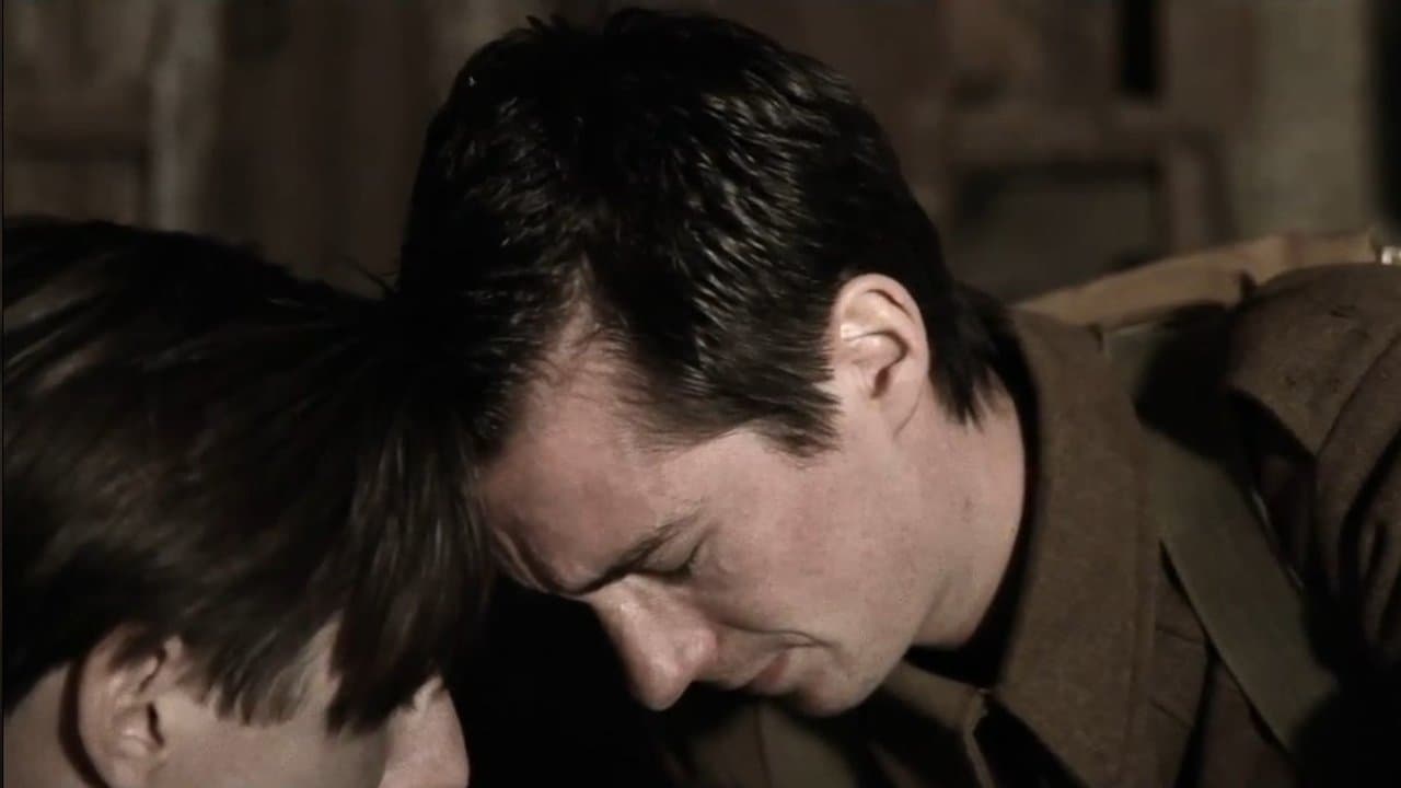 Shellsの背景画像