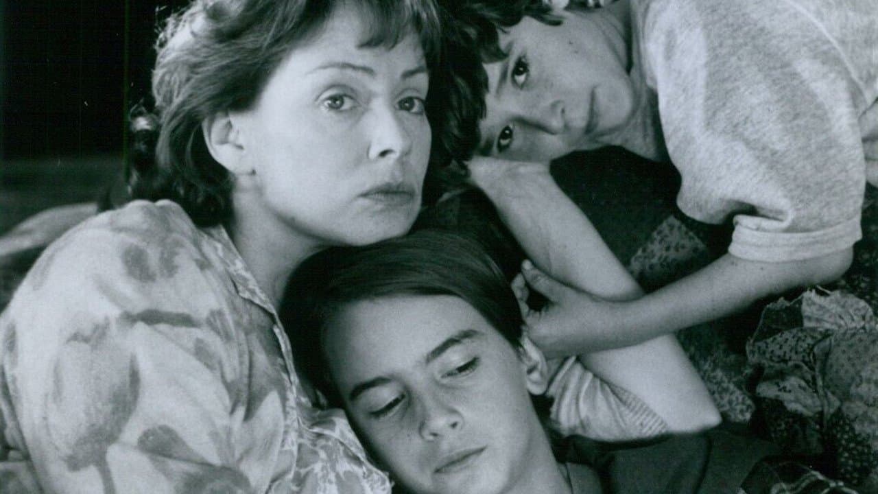 The Yarn Princessの背景画像