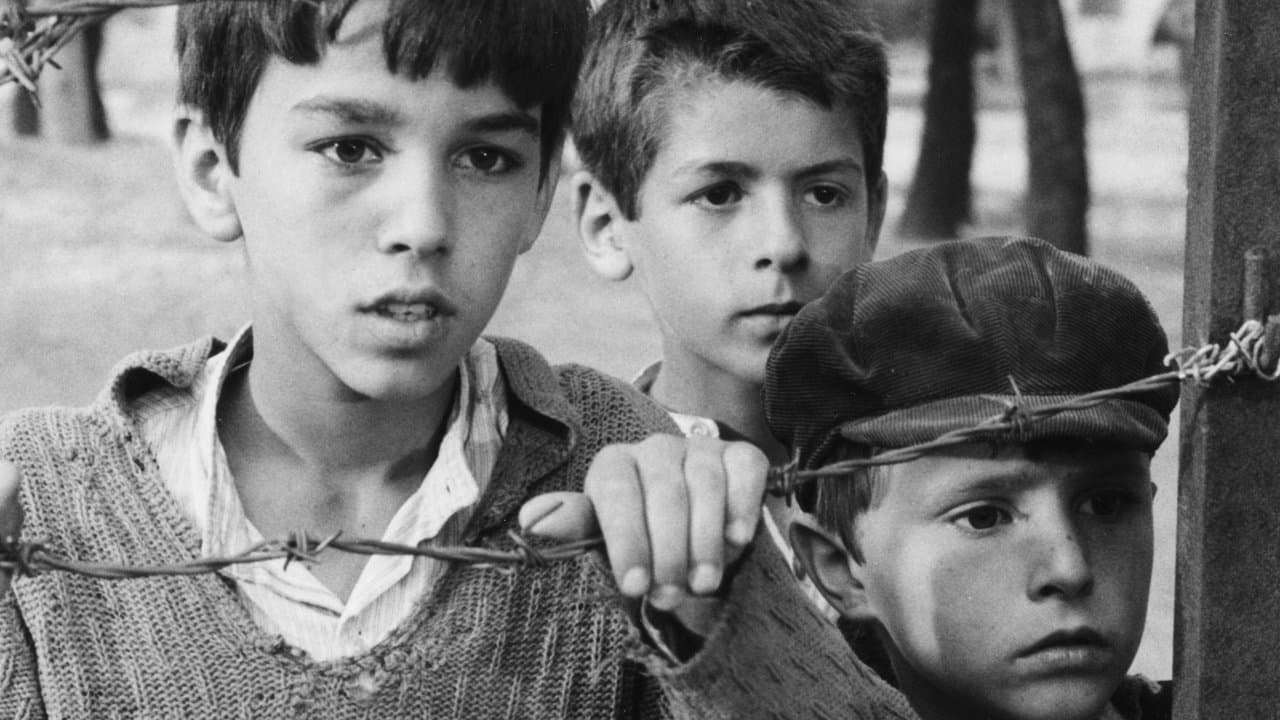 Tomka dhe shokët e tijの背景画像