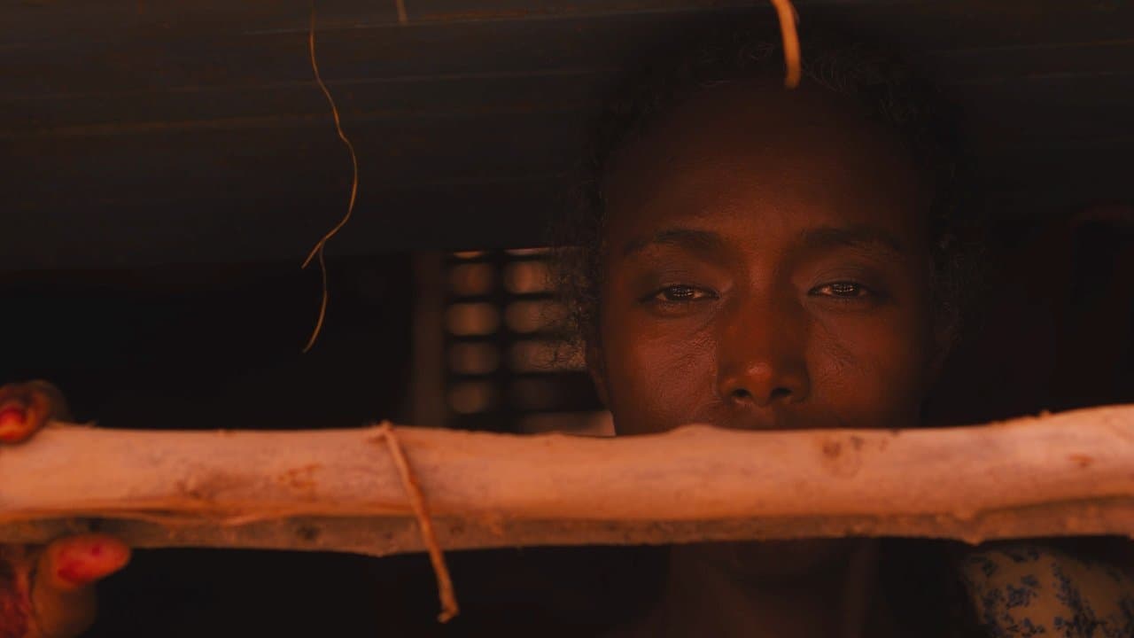 Mother Motherの背景画像