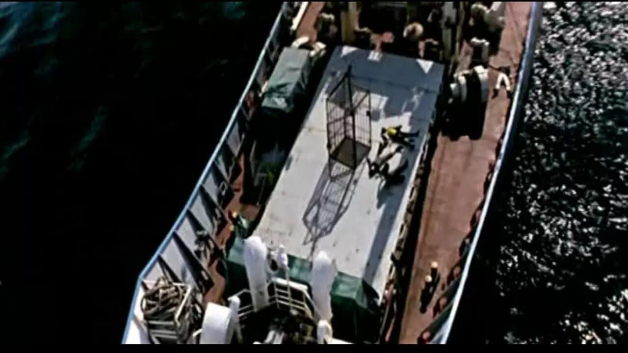 Cámara oscuraの背景画像