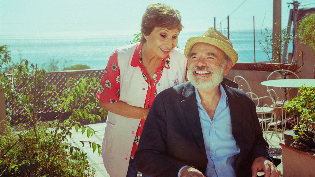 La Pie voleuseの背景画像