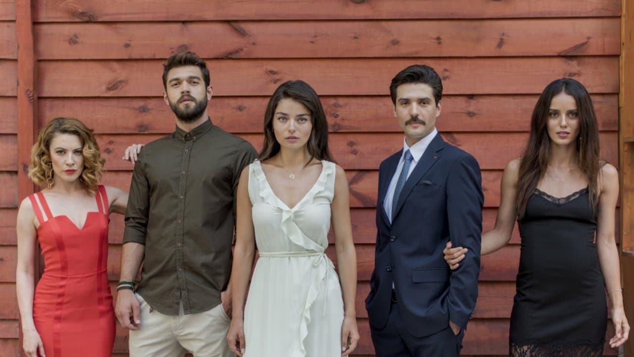 Meryemの背景画像