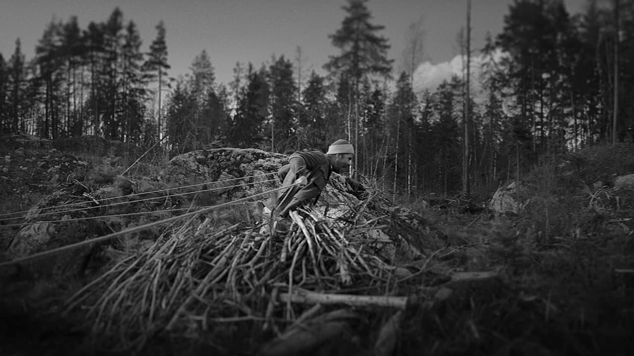 Pieni pala valoaの背景画像