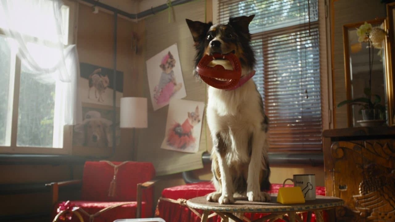 Не моё собачье делоの背景画像