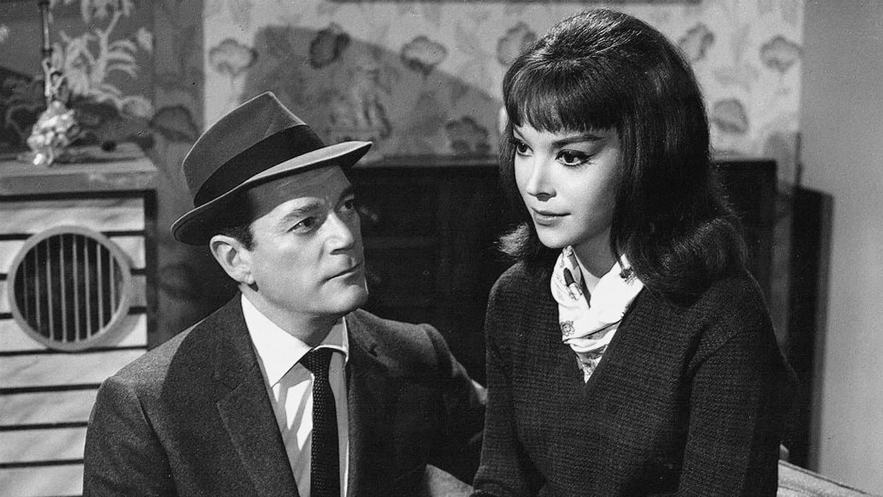 La tela de arañaの背景画像