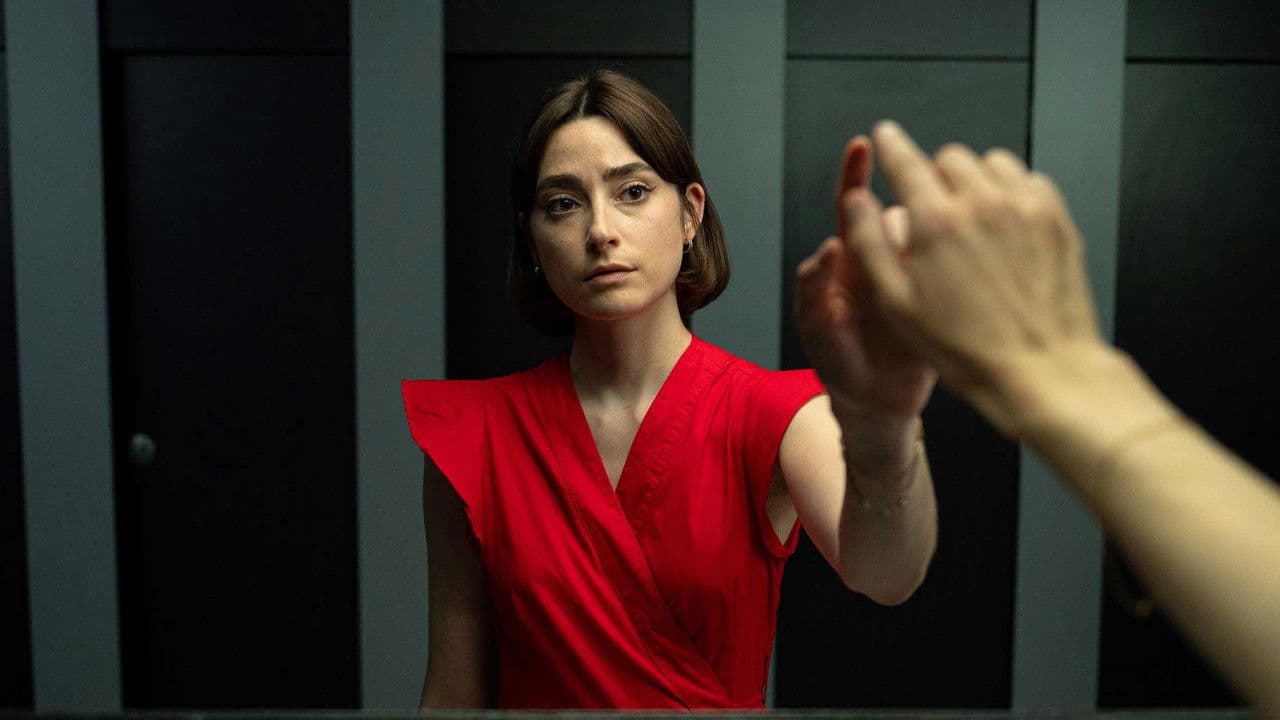 First Sightの背景画像