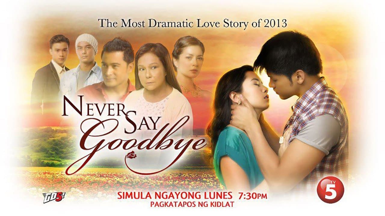 Never Say Goodbyeの背景画像