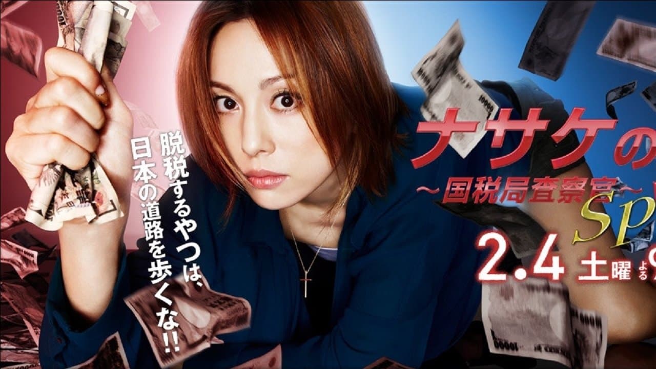 ナサケの女〜国税局査察官〜の背景画像